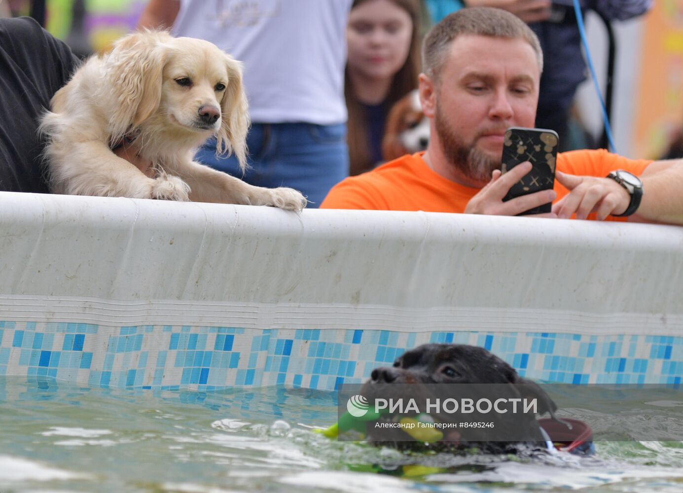 Фестиваль домашних любимцев Petshop Days в Петербурге