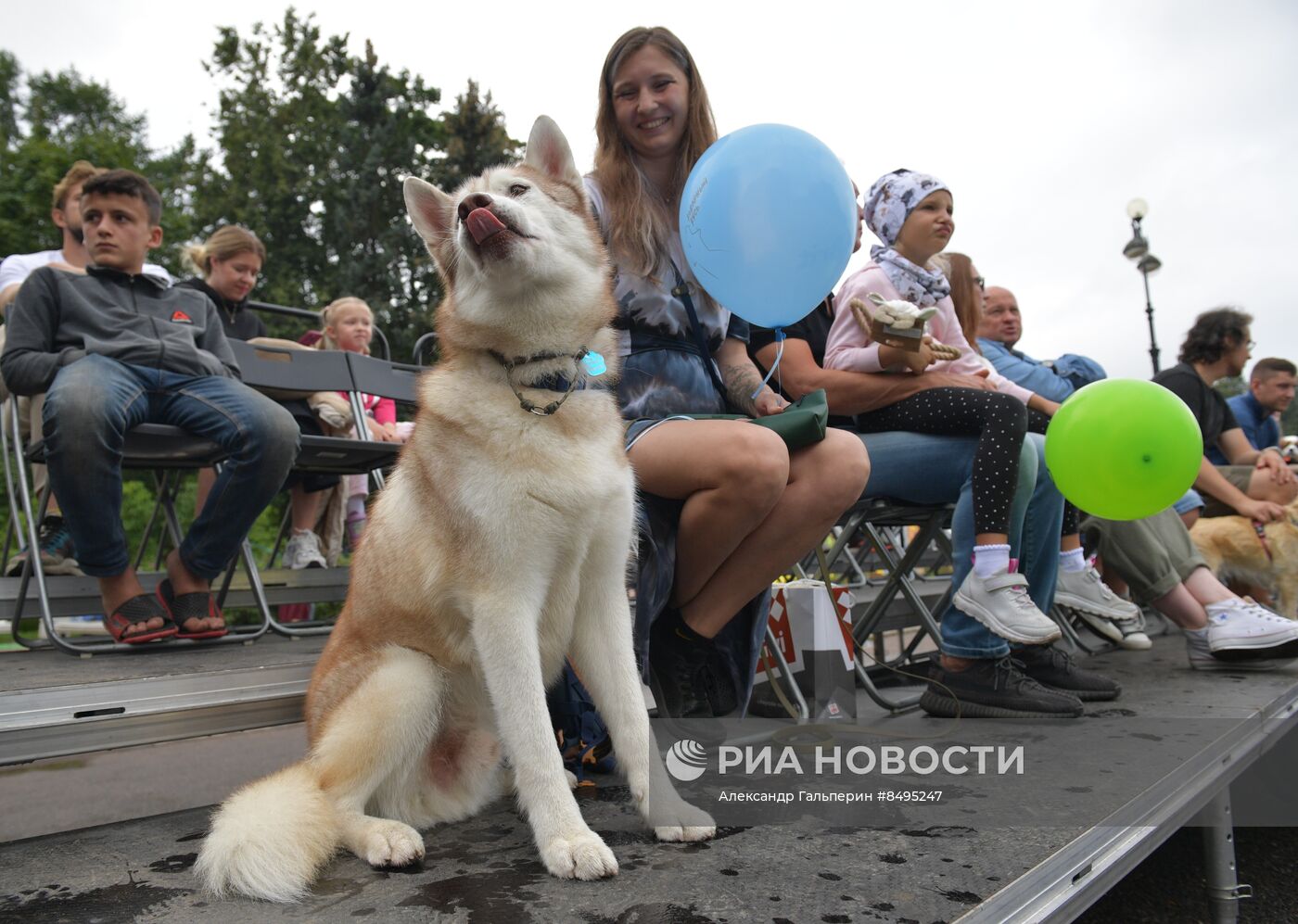 Фестиваль домашних любимцев Petshop Days в Петербурге