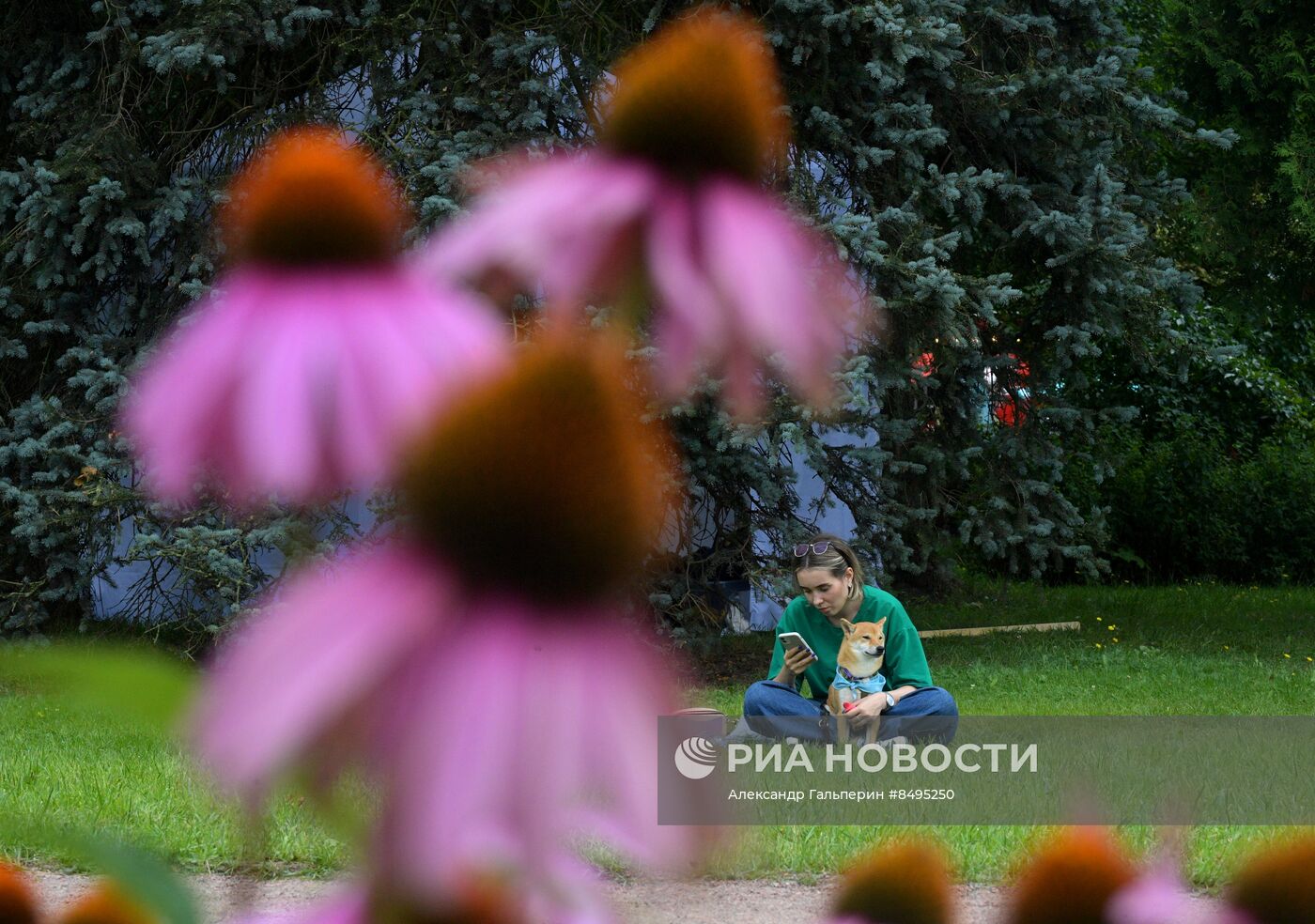 Фестиваль домашних любимцев Petshop Days в Петербурге