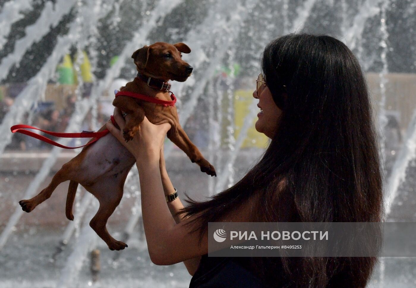 Фестиваль домашних любимцев Petshop Days в Петербурге