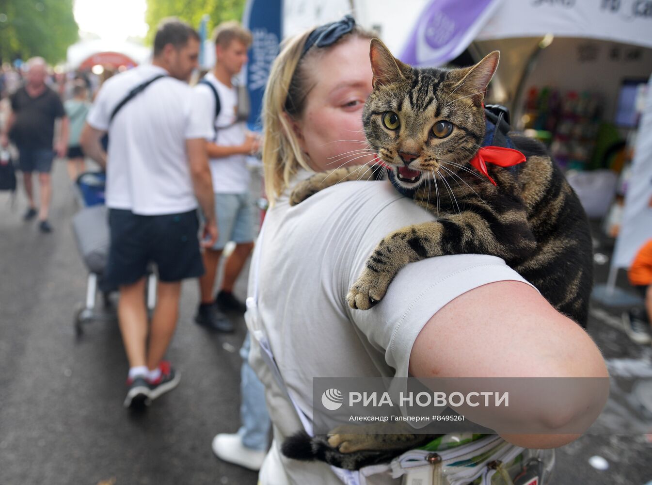 Фестиваль домашних любимцев Petshop Days в Петербурге