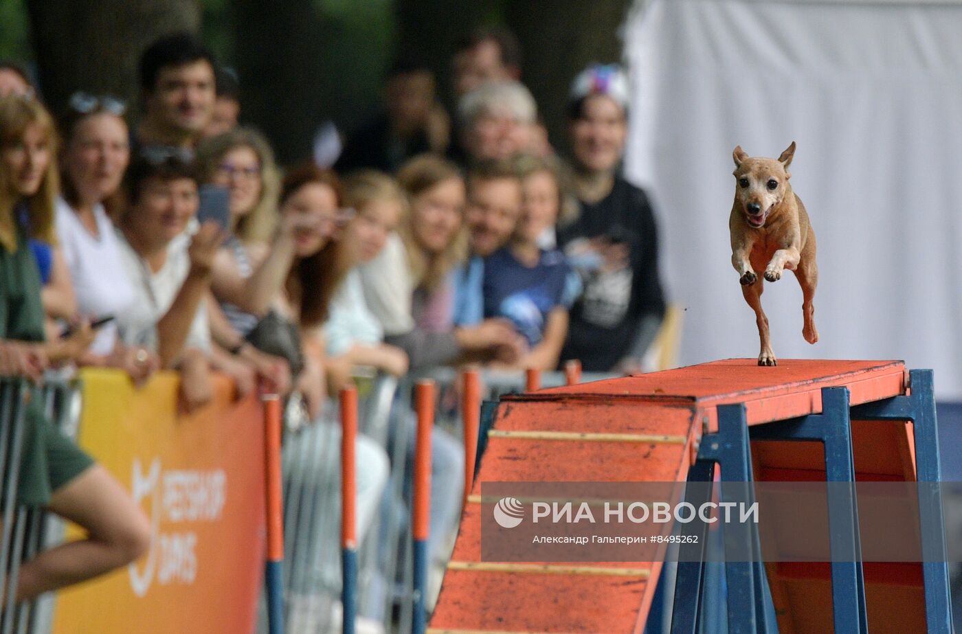 Фестиваль домашних любимцев Petshop Days в Петербурге