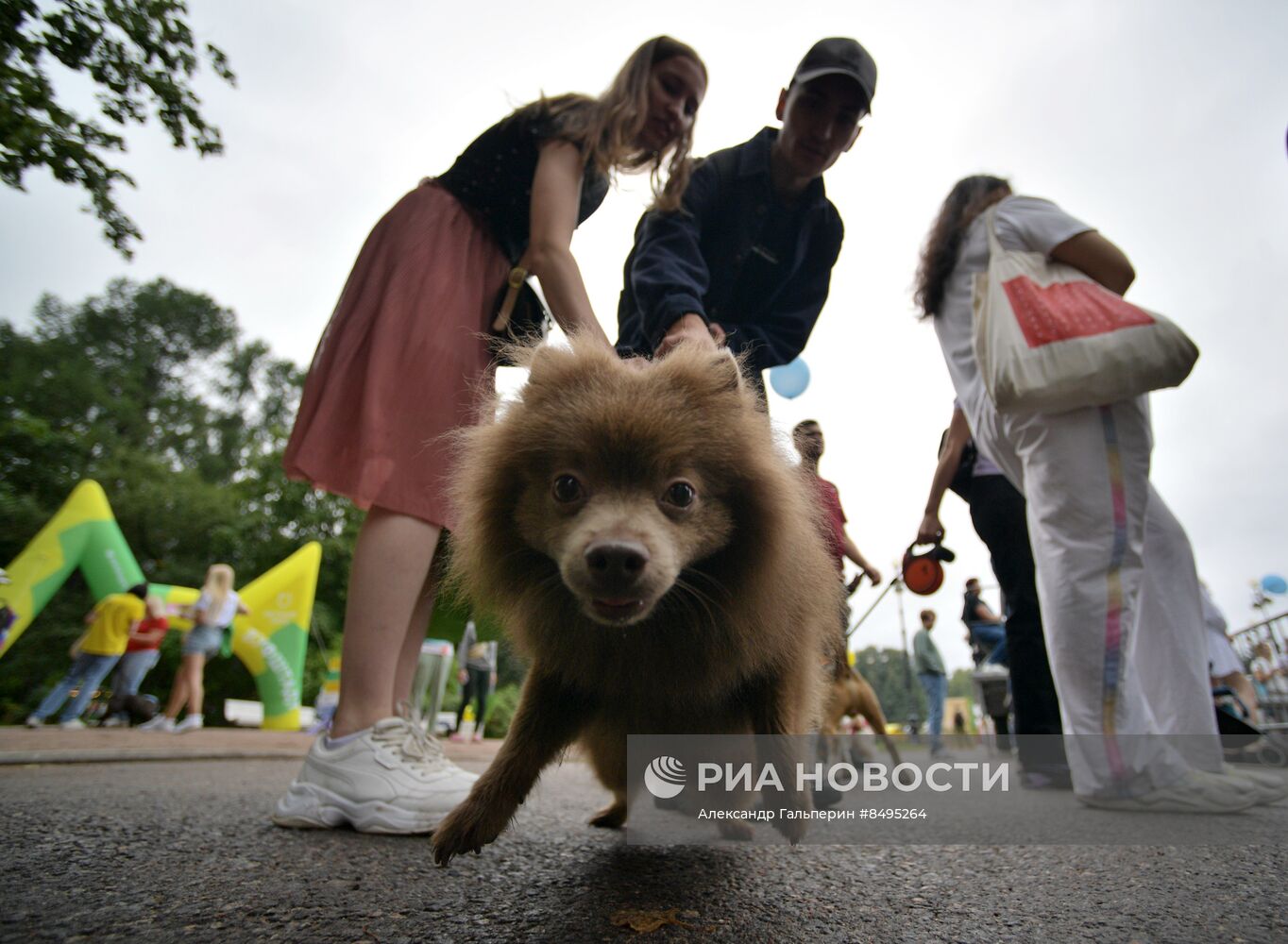 Фестиваль домашних любимцев Petshop Days в Петербурге