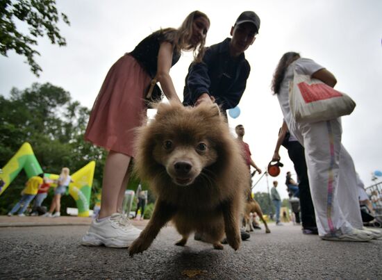 Фестиваль домашних любимцев Petshop Days в Петербурге