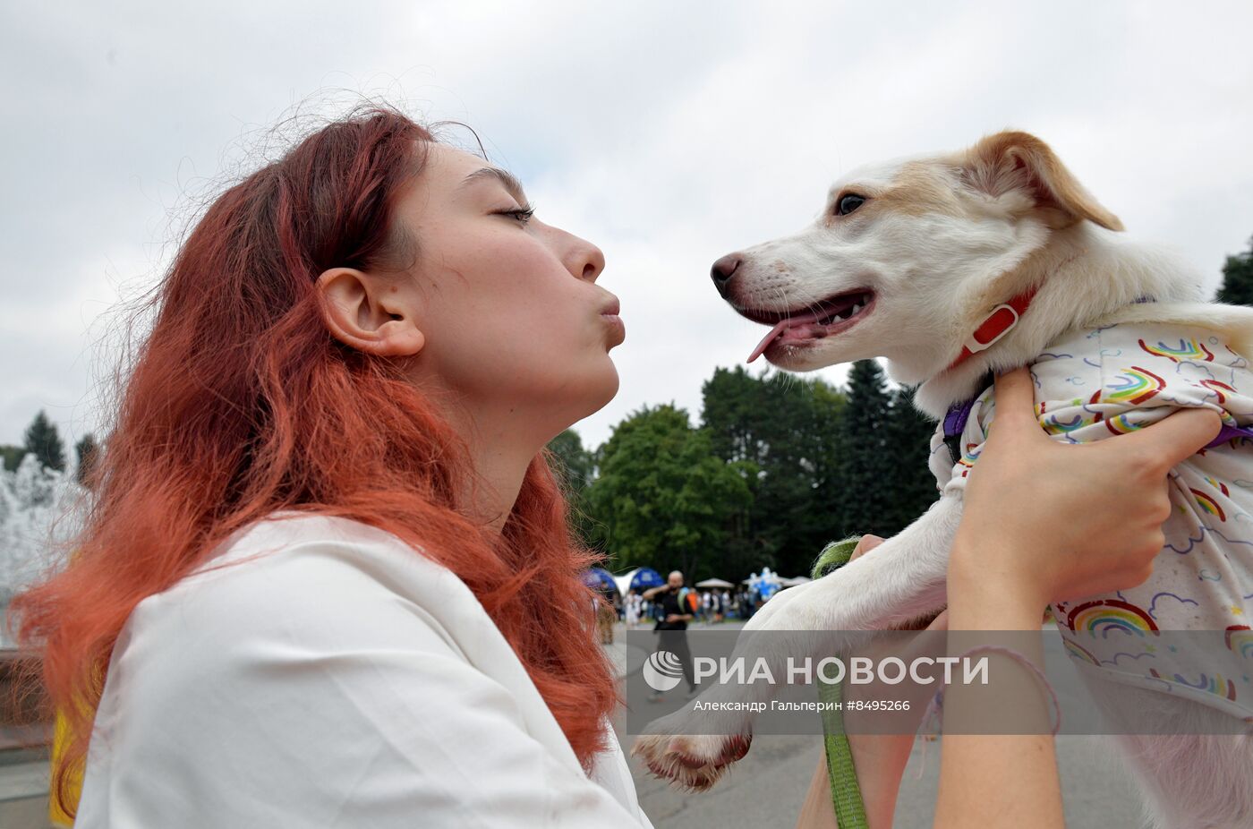 Фестиваль домашних любимцев Petshop Days в Петербурге