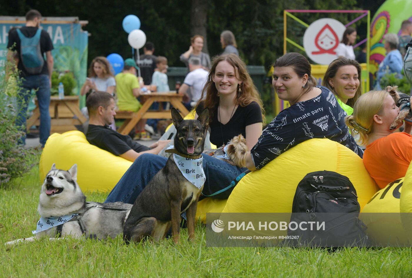 Фестиваль домашних любимцев Petshop Days в Петербурге