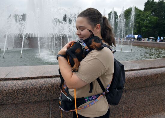 Фестиваль домашних любимцев Petshop Days в Петербурге