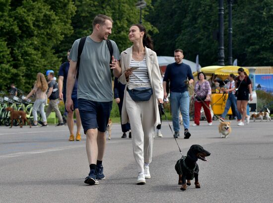 Фестиваль домашних любимцев Petshop Days в Петербурге