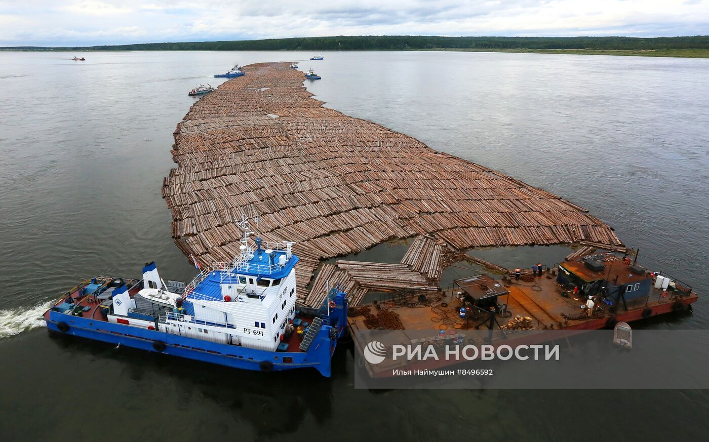 Сплав леса по реке Ангаре | РИА Новости Медиабанк