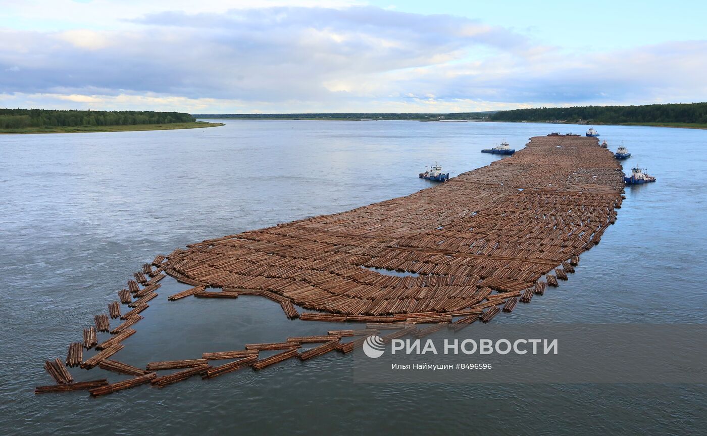 Сплав леса по реке Ангаре