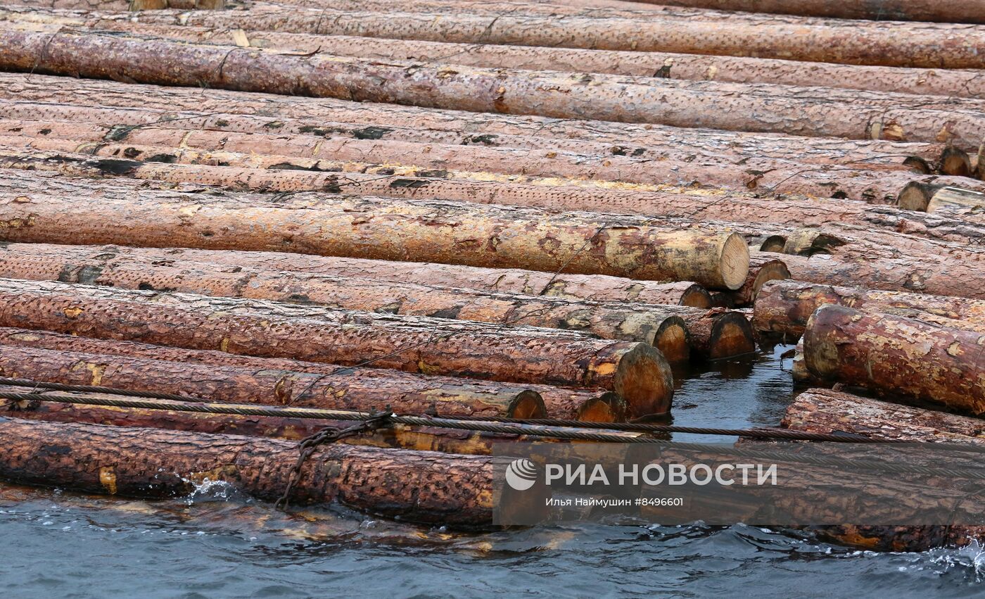 Сплав леса по реке Ангаре