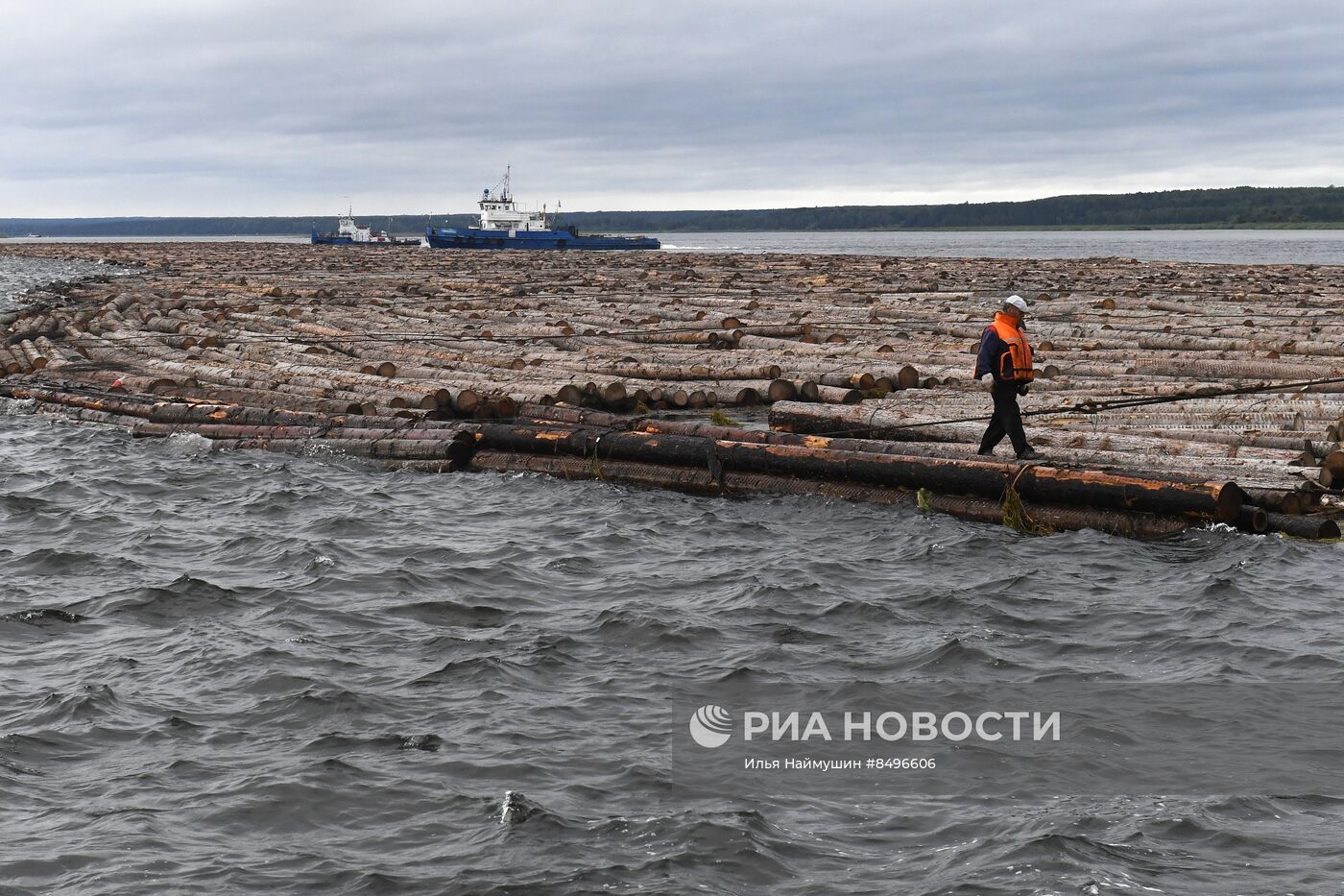 Сплав леса по реке Ангаре | РИА Новости Медиабанк