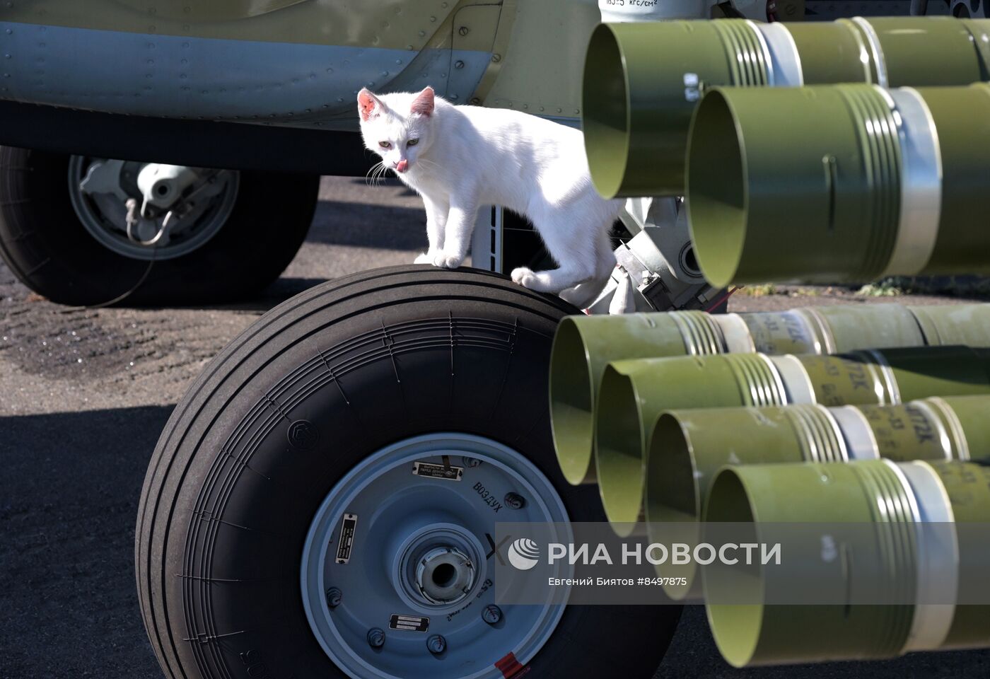 Работа летного и технического состава ударной авиации и поисково-спасательной службы в зоне проведения СВО