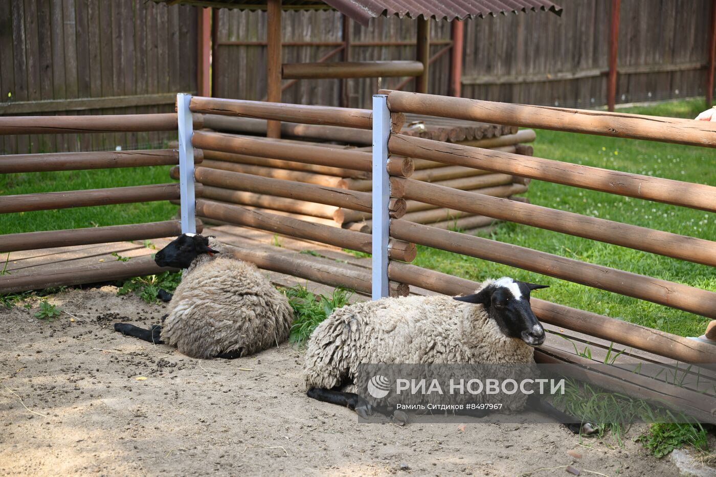 #ОткрываяРоссию. Тутаев