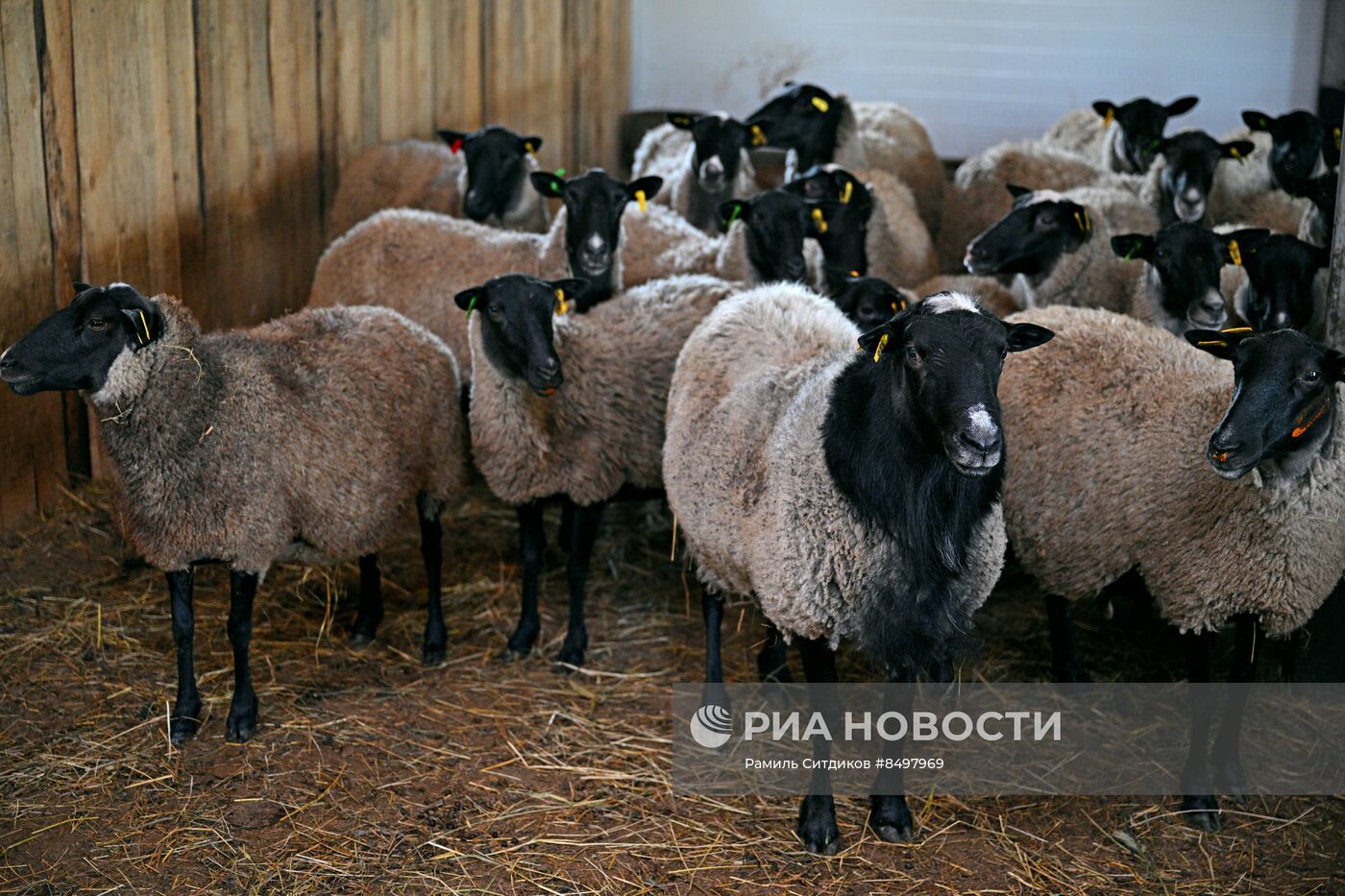 #ОткрываяРоссию. Тутаев