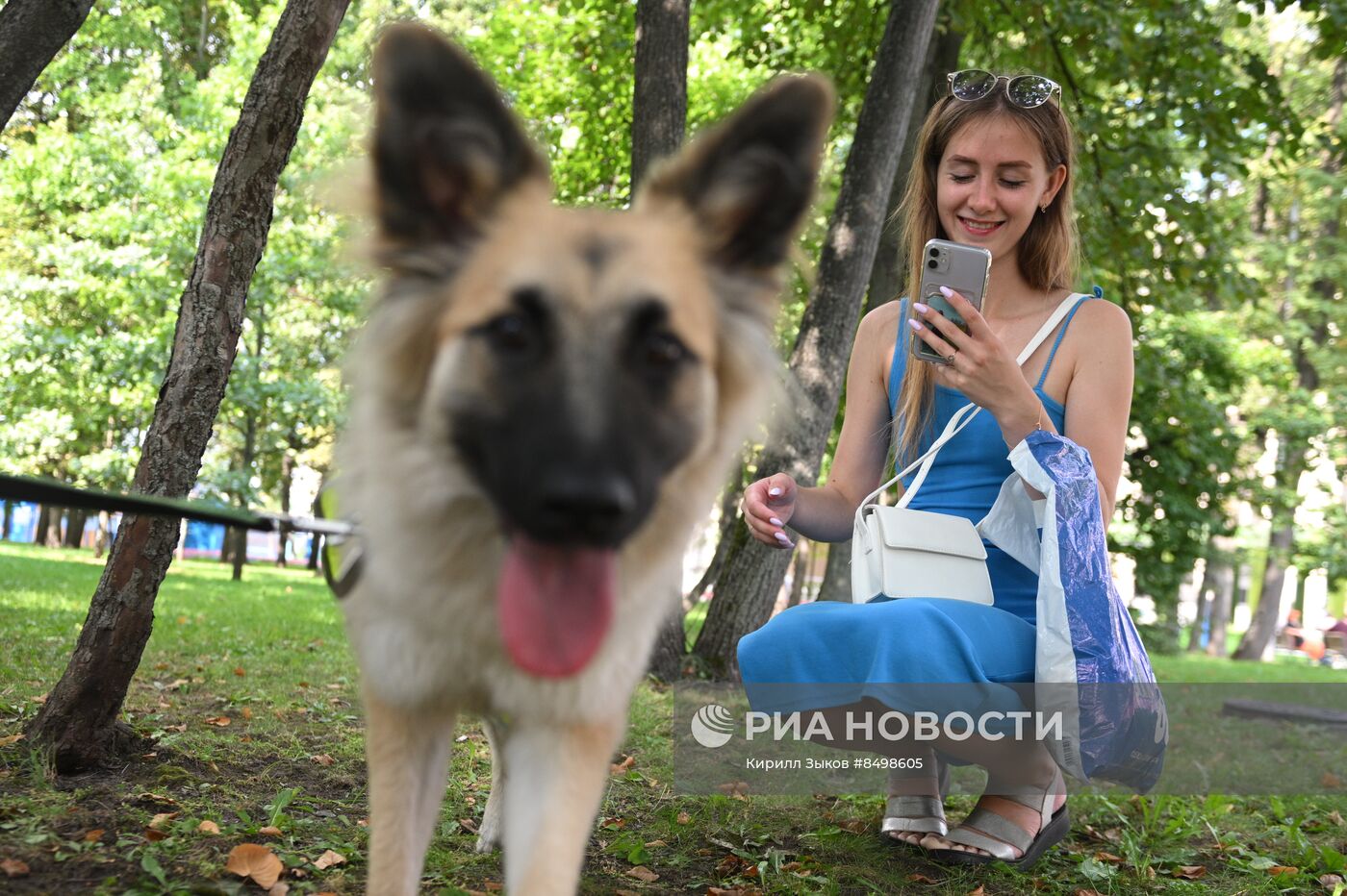 Московский урбанистический форум - 2023. Выставка-пристройство животных