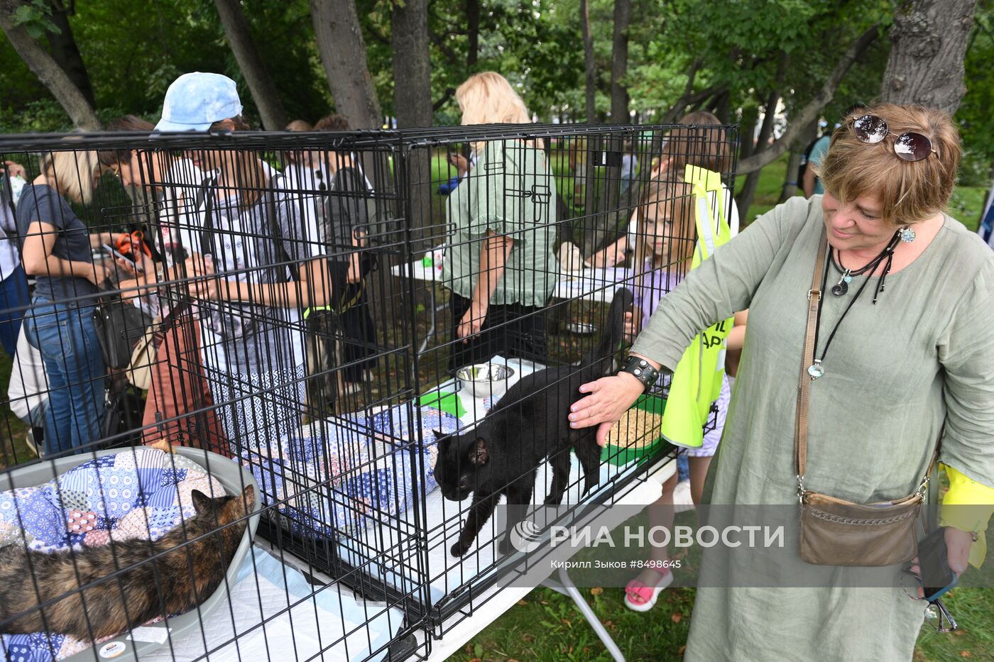 Московский урбанистический форум - 2023. Выставка-пристройство животных