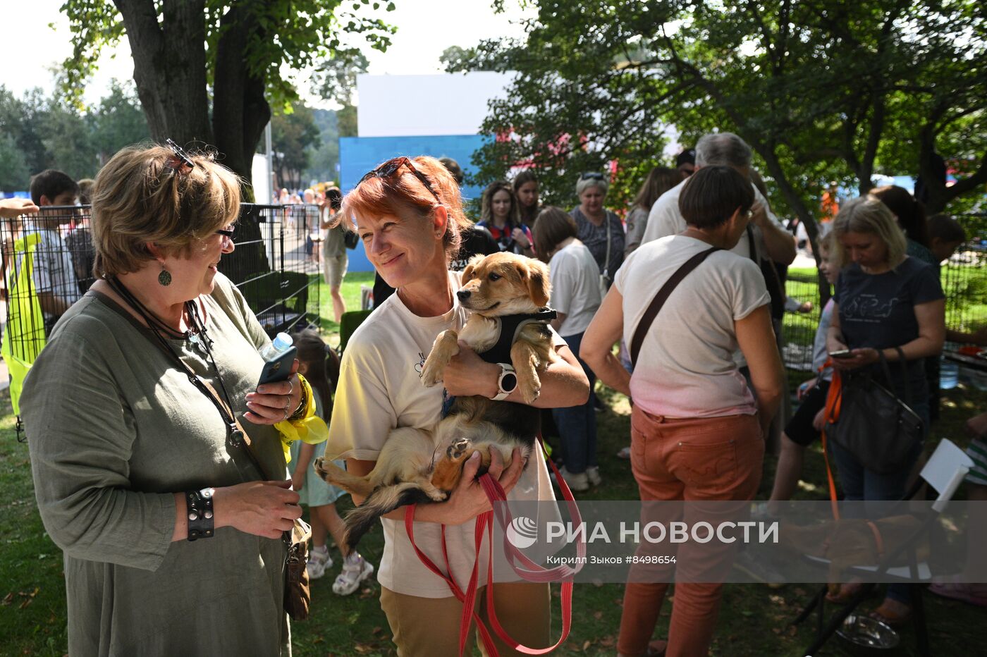 Московский урбанистический форум - 2023. Выставка-пристройство животных