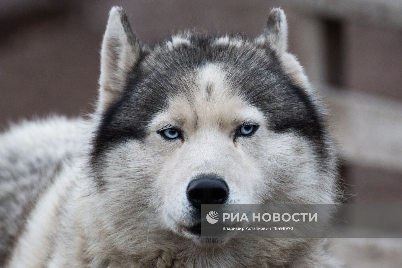 Город Баренцбург на архипелаге Шпицберген