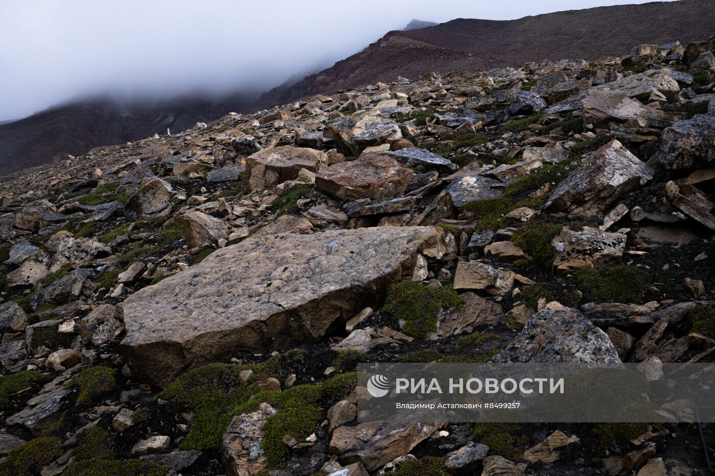 Виды Шпицбергена