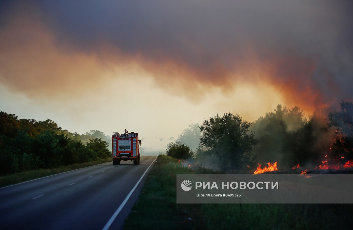 Лесной пожар в Волгоградской области