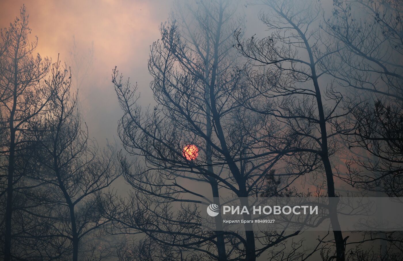 Лесной пожар в Волгоградской области