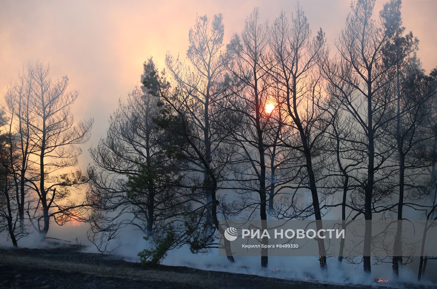 Лесной пожар в Волгоградской области