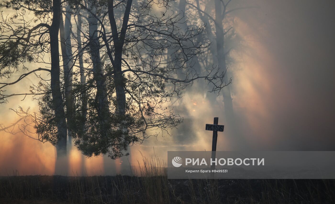 Лесной пожар в Волгоградской области