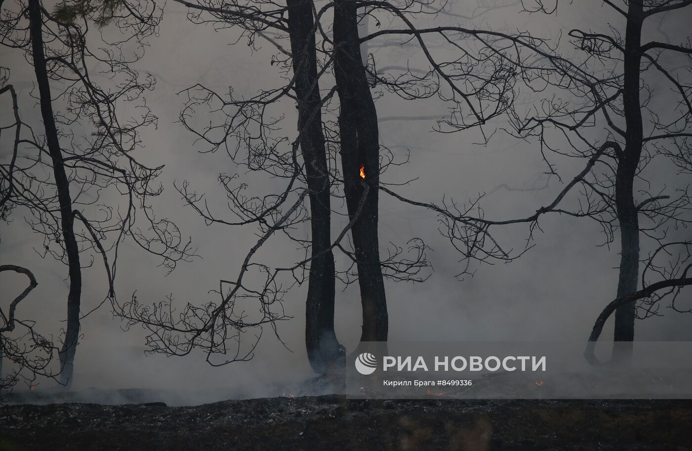 Лесной пожар в Волгоградской области