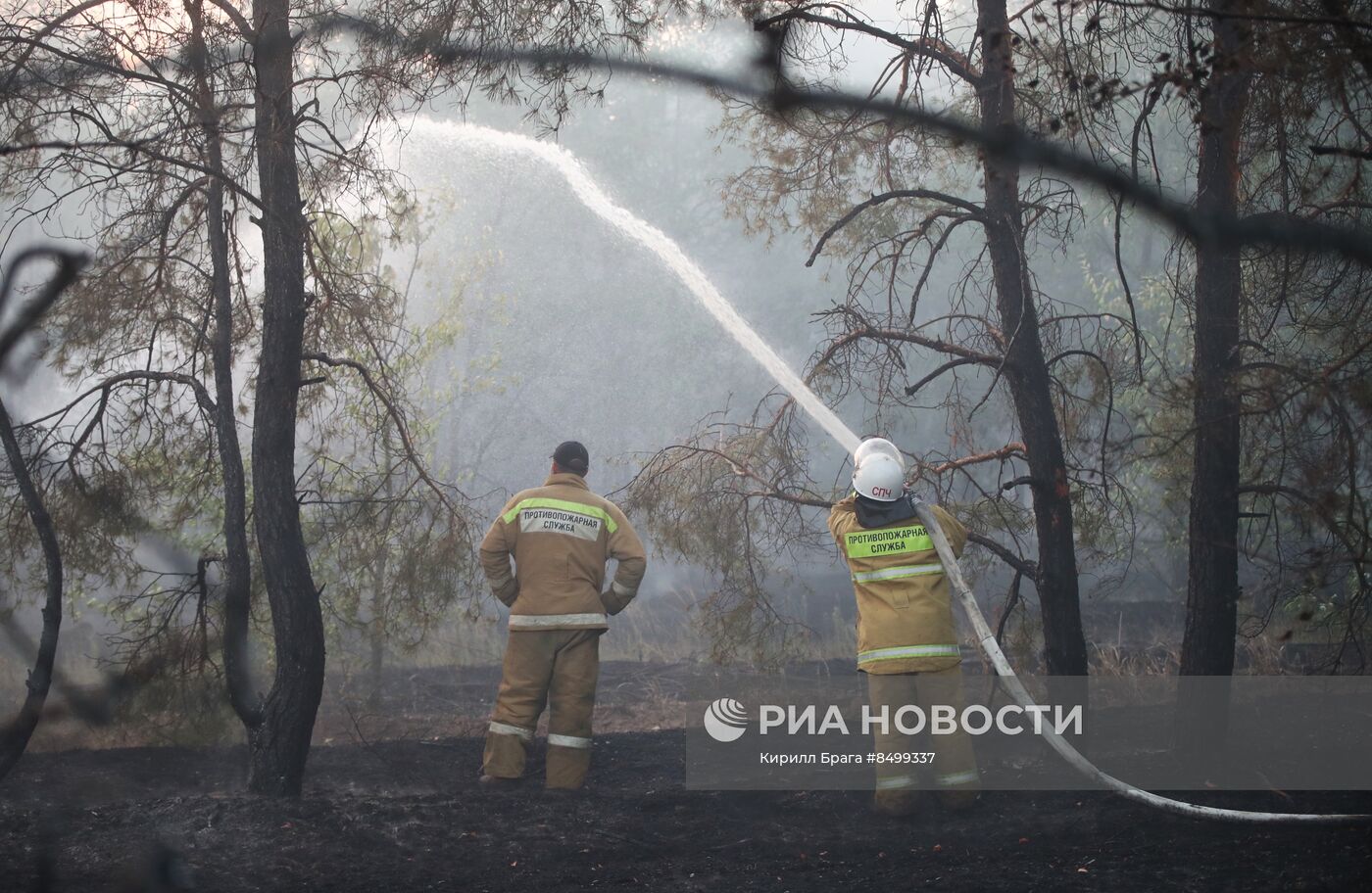 Лесной пожар в Волгоградской области