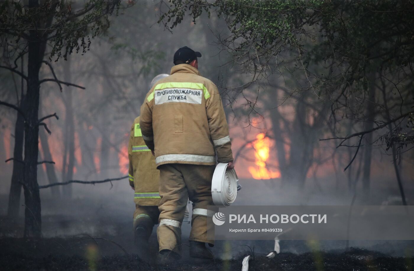 Лесной пожар в Волгоградской области