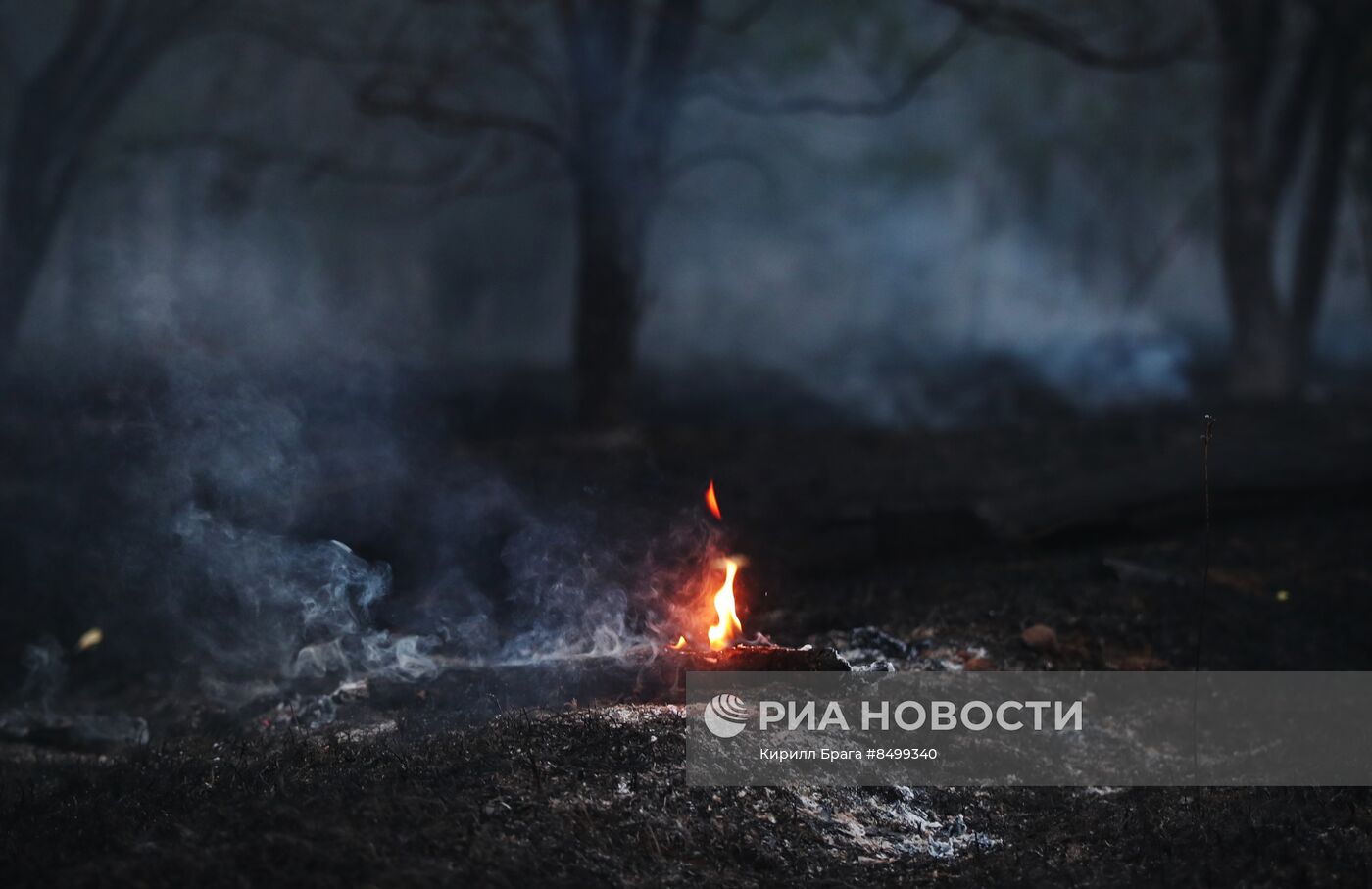 Лесной пожар в Волгоградской области