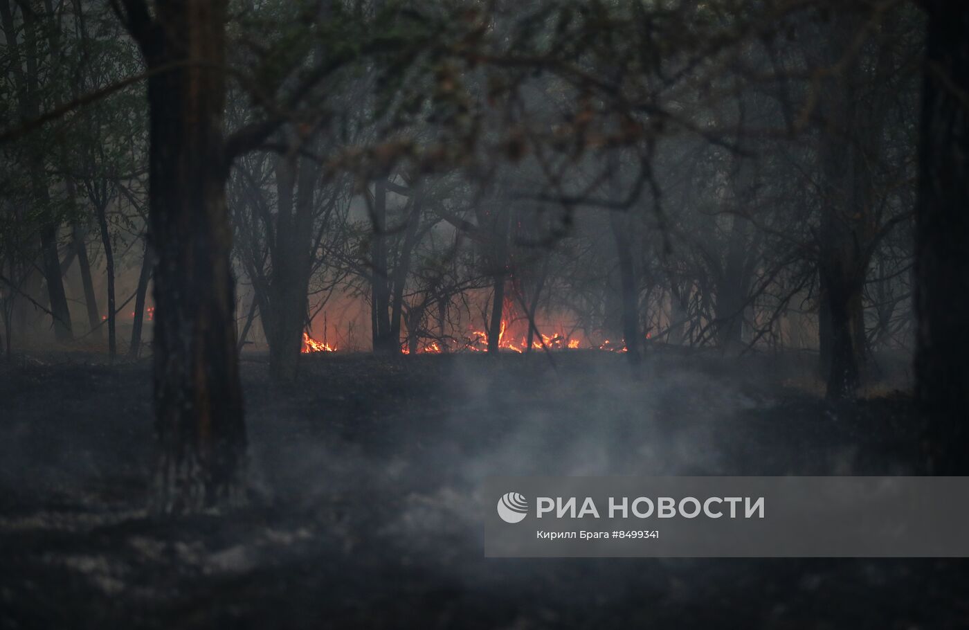 Лесной пожар в Волгоградской области