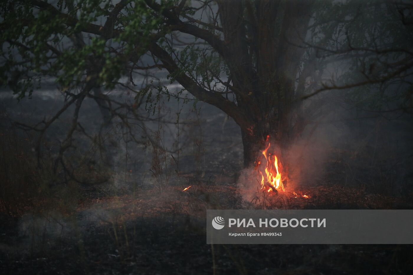 Лесной пожар в Волгоградской области