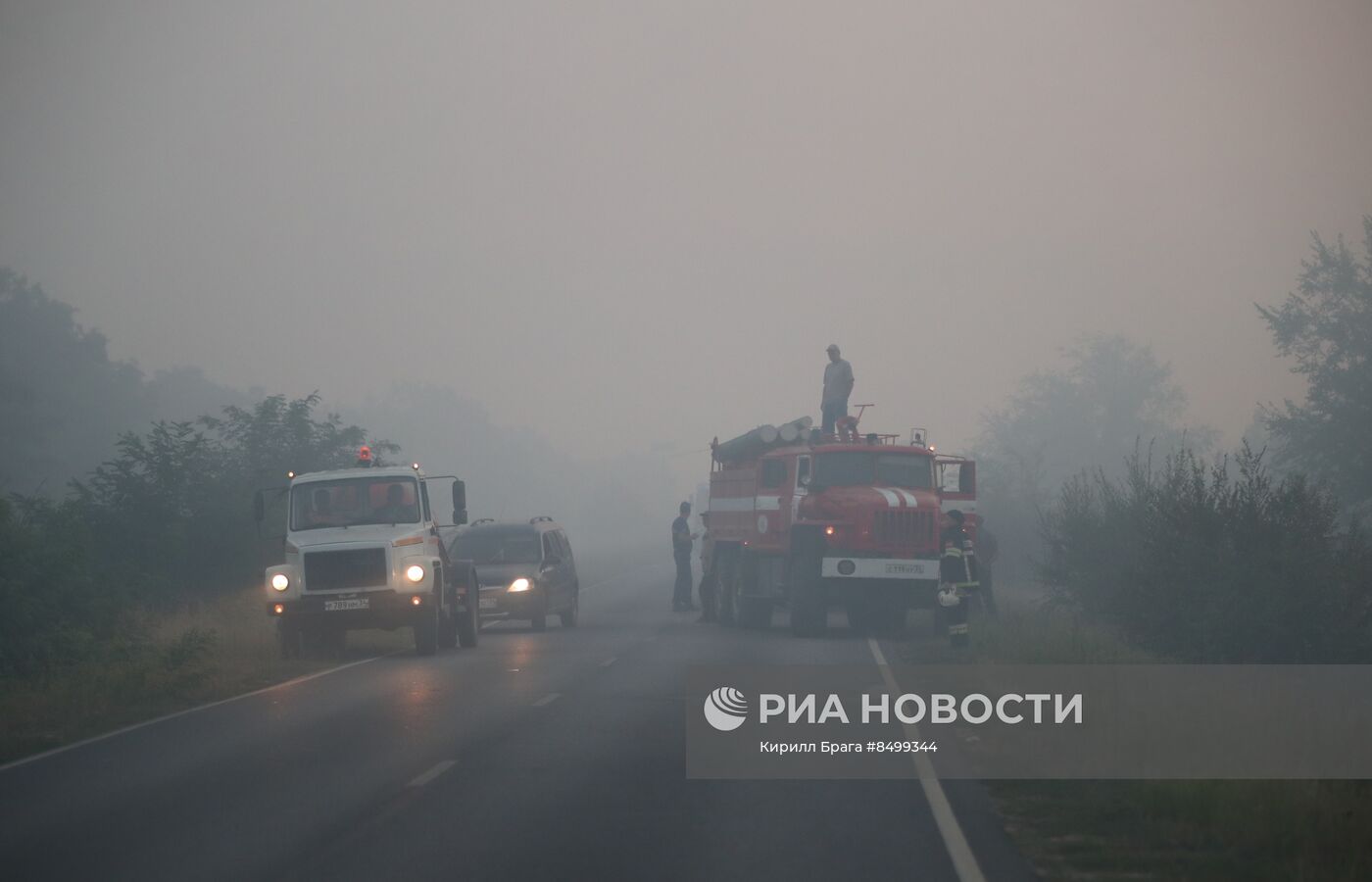 Лесной пожар в Волгоградской области