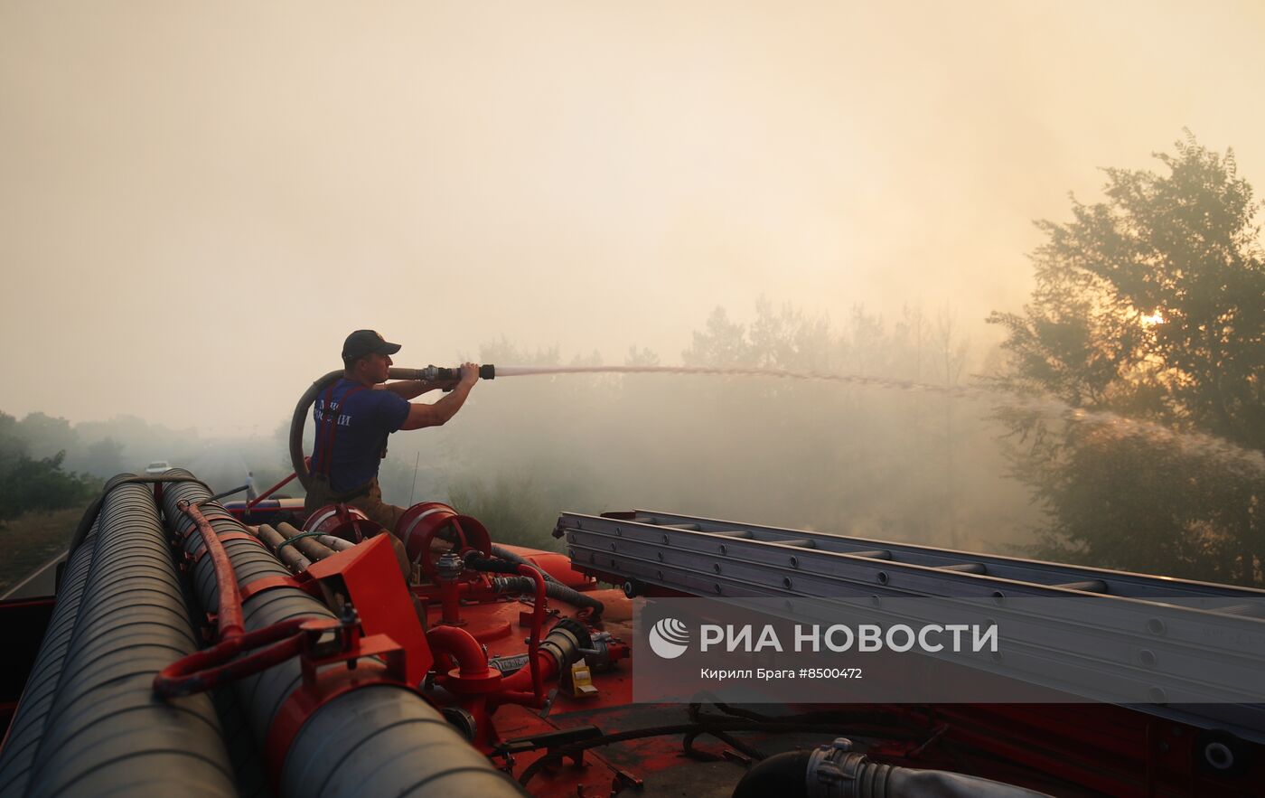 Лесной пожар в Волгоградской области