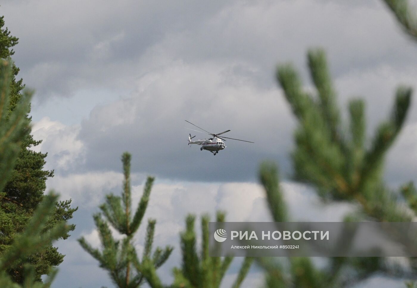 Частный самолет потерпел крушение в Тверской области