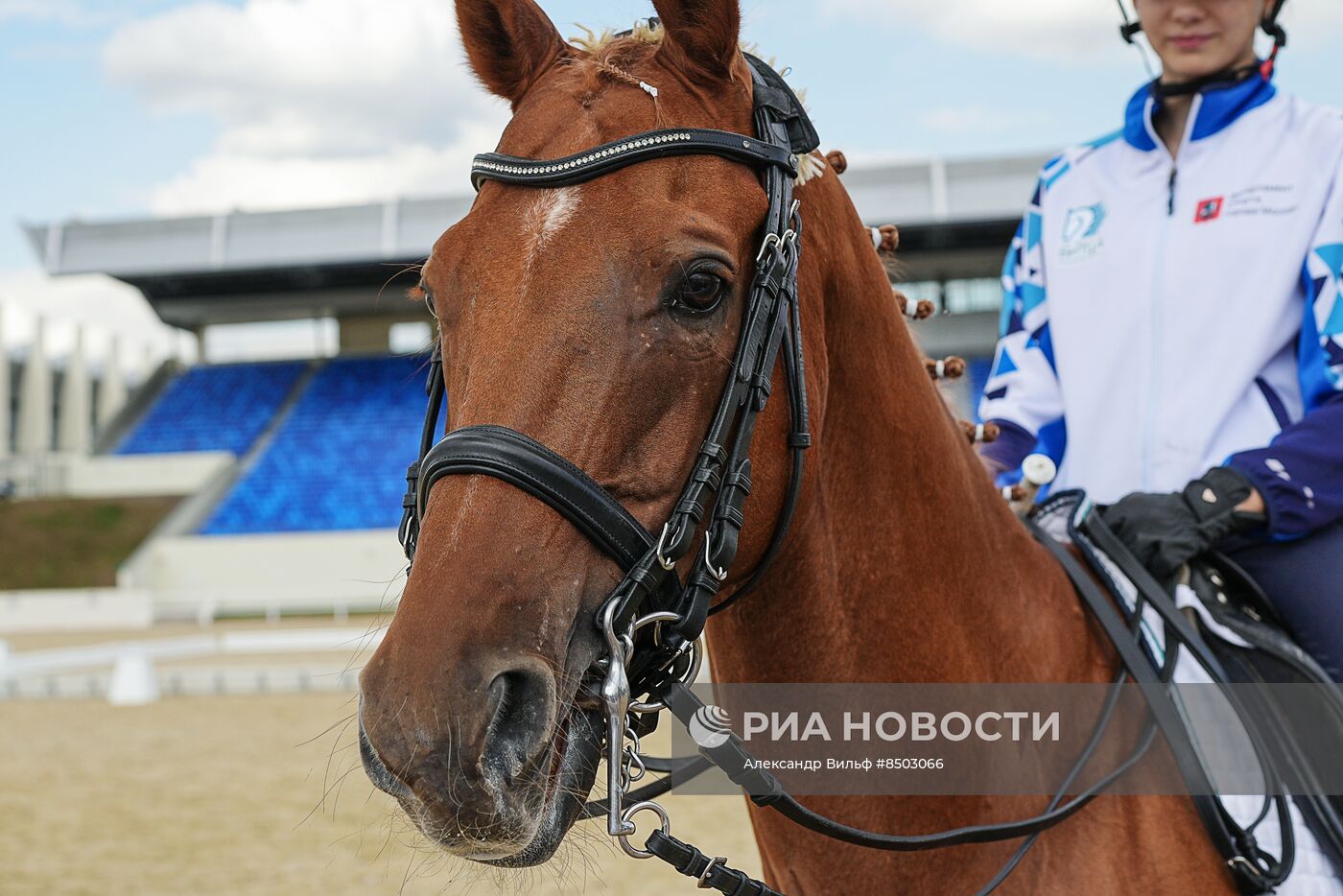 Открытие конноспортивной школы "Битца"