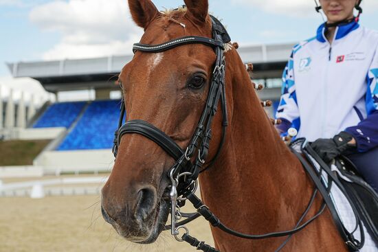 Открытие конноспортивной школы "Битца"