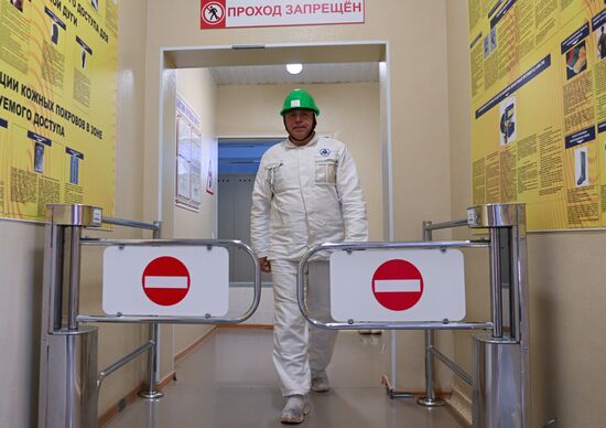Работа Кольской АЭС в Мурманской области