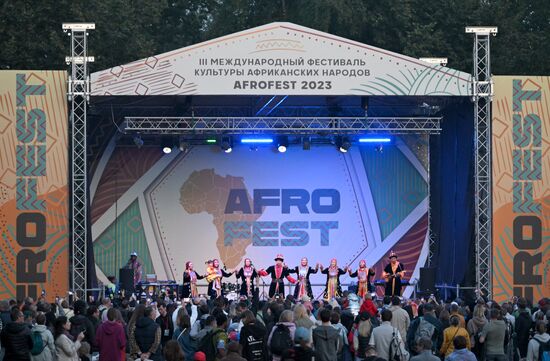 Фестиваль африканской культуры "Afrofest"