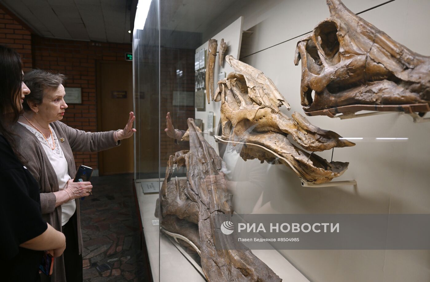 Исследование остатков динозавров в Палеонтологическом музее им. Ю. А. Орлова