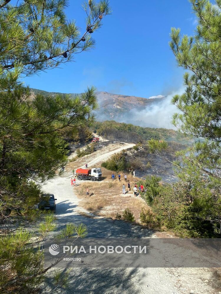 Пожар в Геленджике