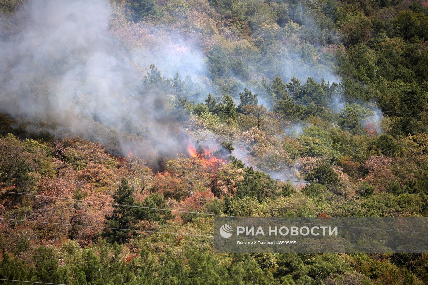 Пожар в Геленджике