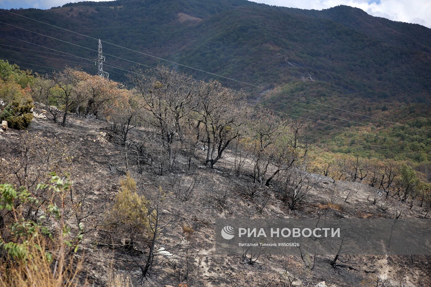 Пожар в Геленджике