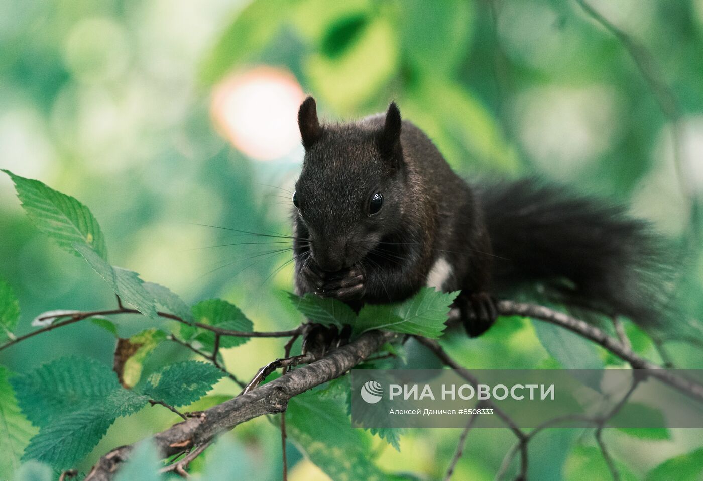 Повседневная жизнь