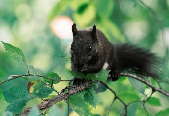 Повседневная жизнь