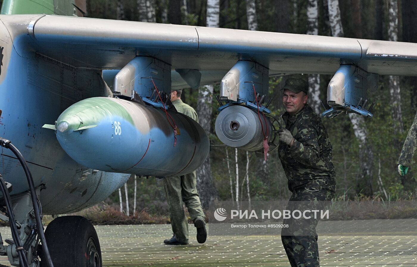 Учения "Боевое братство - 2023" в Брестской области