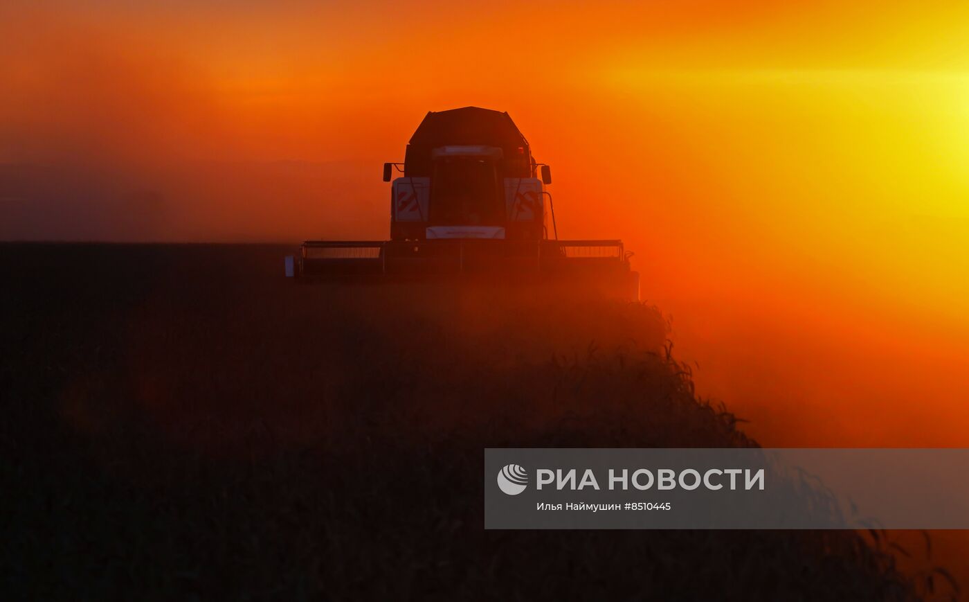 Уборка урожая пшеницы в Красноярском крае