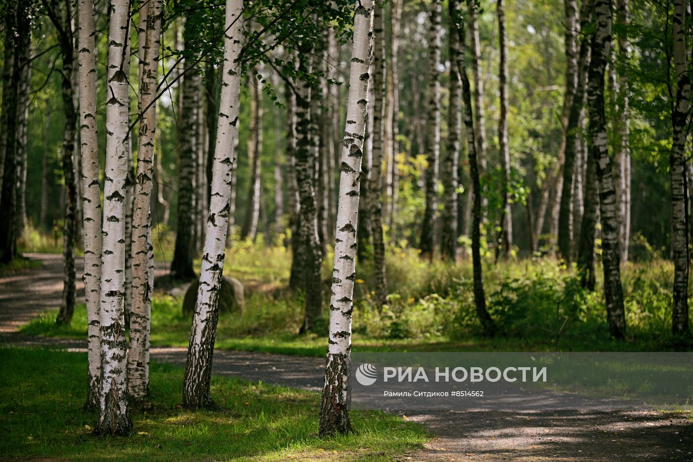 #ОткрываяРоссию. Рыбинск